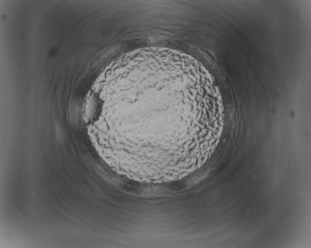 X0000081350527200702020117