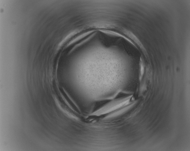 X0000081350530200702020117