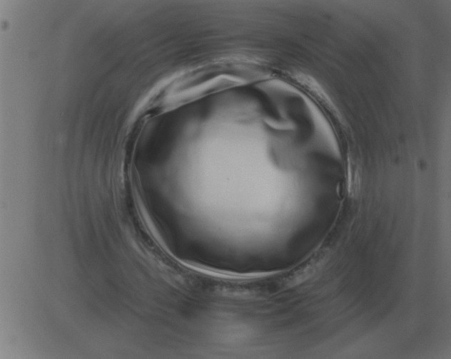 X0000081350531200702020117