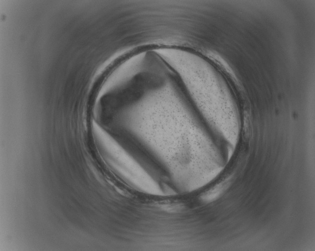 X0000081350532200702020117