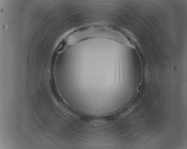 X0000081350536200702020117