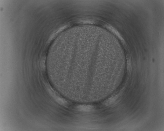 X0000081350537200702020117