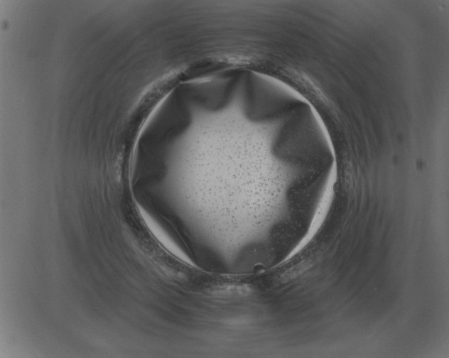 X0000081350543200702020117