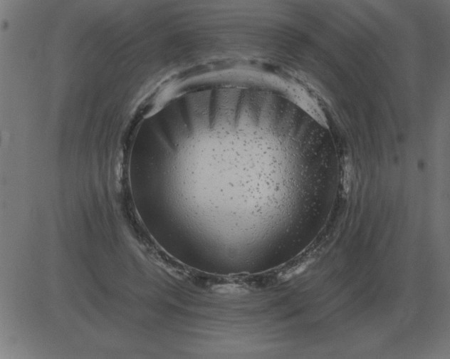 X0000081350544200702020117