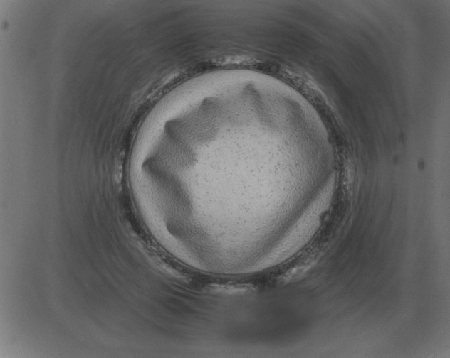 X0000081350545200702020117