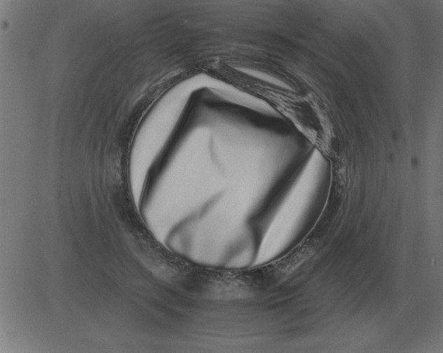 X0000081350547200702020117