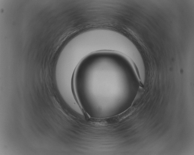 X0000081350548200702020117