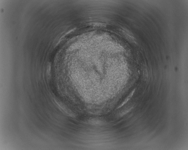 X0000081350550200702020117