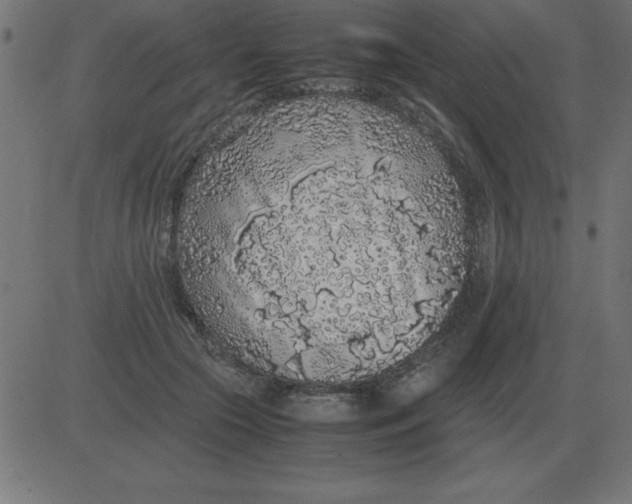 X0000081350553200702020117