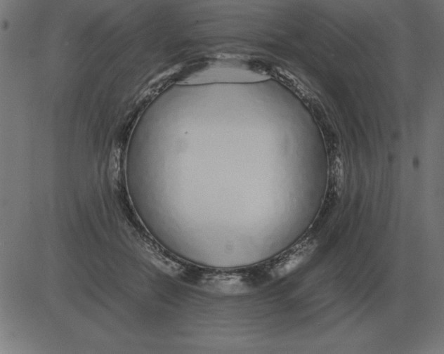 X0000081350554200702020117