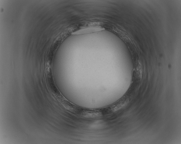 X0000081350555200702020117