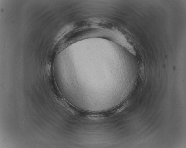 X0000081350556200702020117