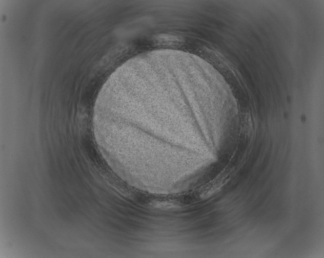 X0000081350557200702020117