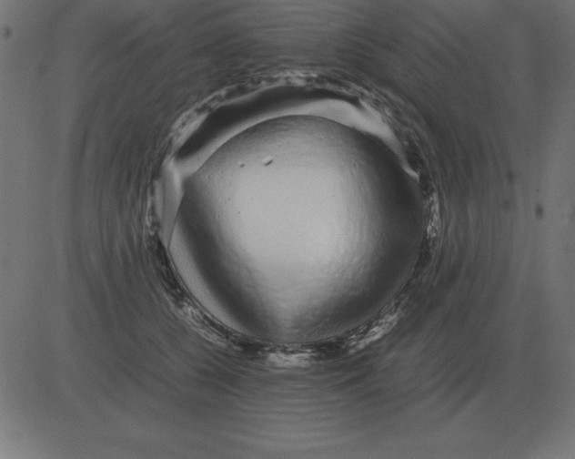 X0000081350560200702020117