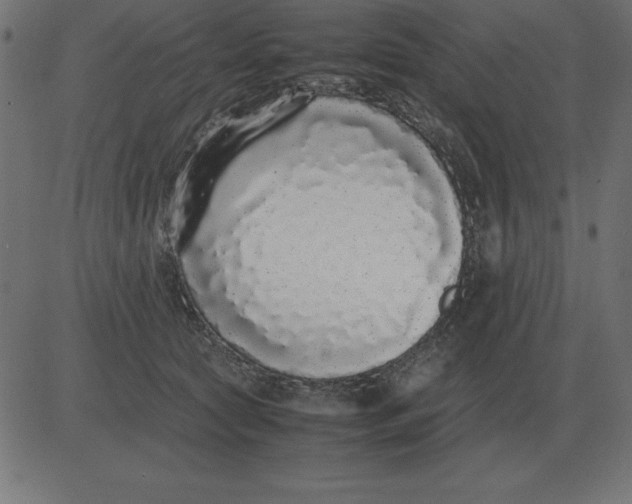 X0000081350561200702020117