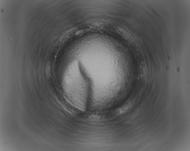 X0000081350562200702020117