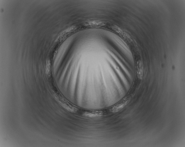 X0000081350563200702020117