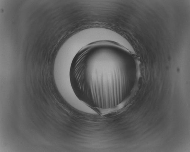 X0000081350564200702020117