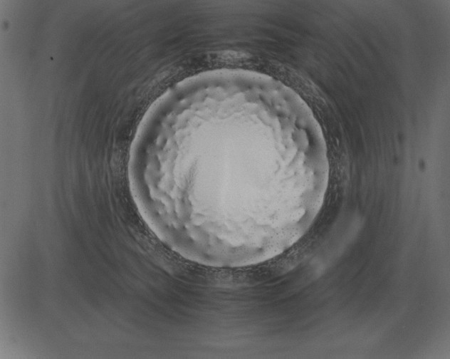 X0000081350565200702020117