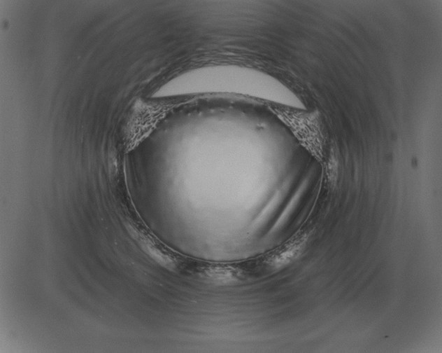 X0000081350566200702020117