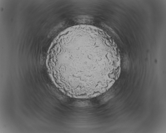 X0000081350569200702020117