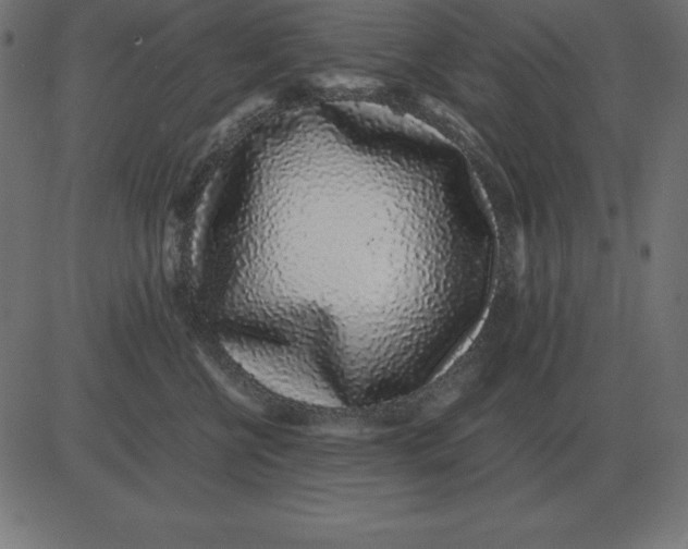 X0000081350570200702020117