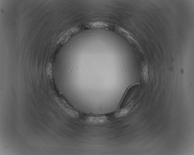 X0000081350571200702020117