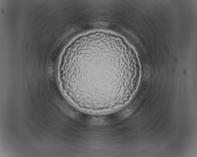 X0000081350573200702020117