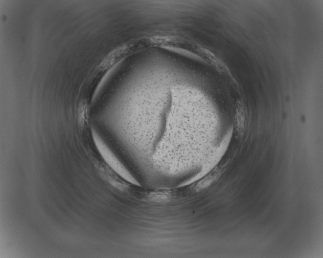 X0000081350574200702020117