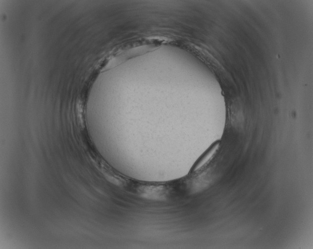 X0000081350575200702020117