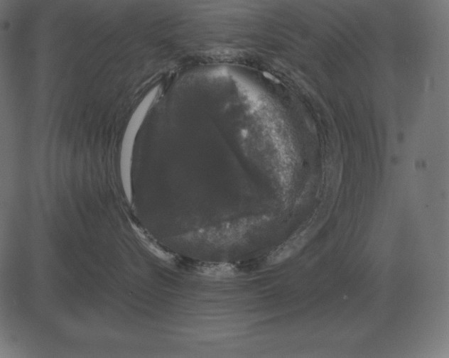 X0000081350576200702020117