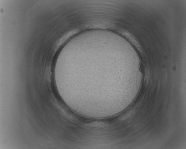 X0000081350578200702020117