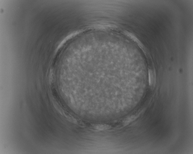 X0000081350579200702020117