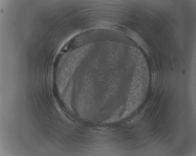 X0000081350580200702020117