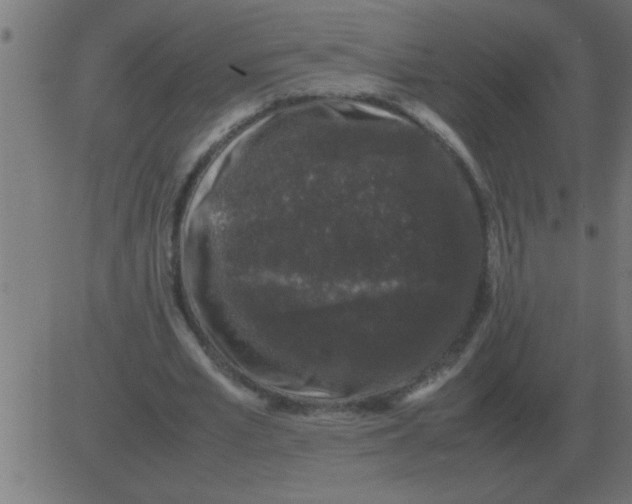 X0000081350581200702020117