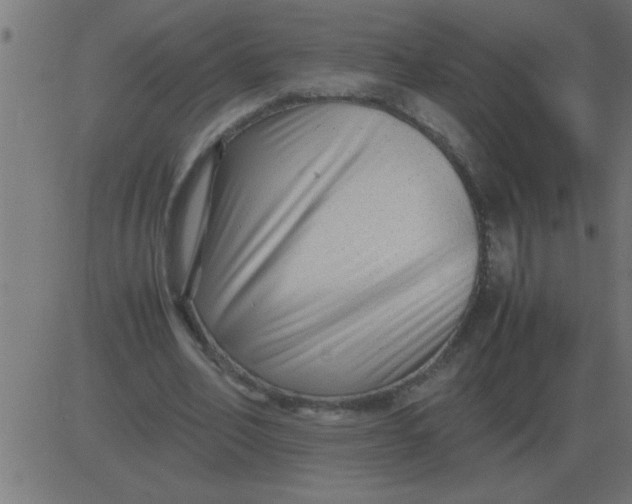 X0000081350582200702020117