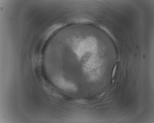 X0000081350583200702020117