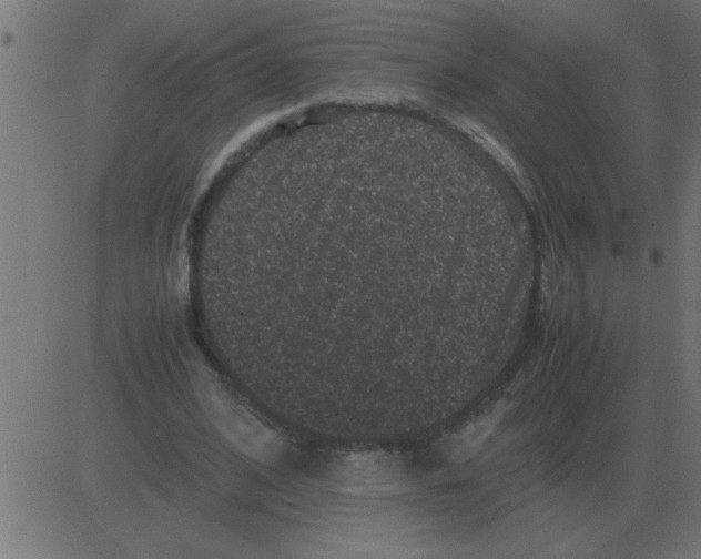 X0000081350584200702020117