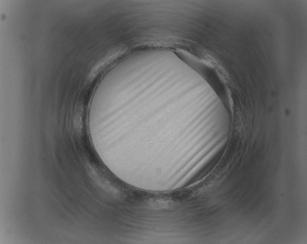 X0000081350586200702020116