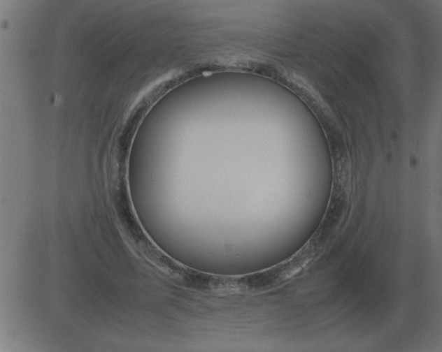 X0000081350587200702020116