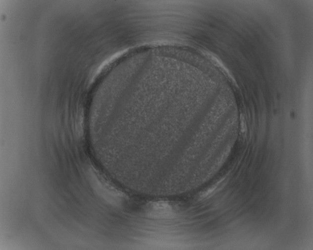 X0000081350588200702020116