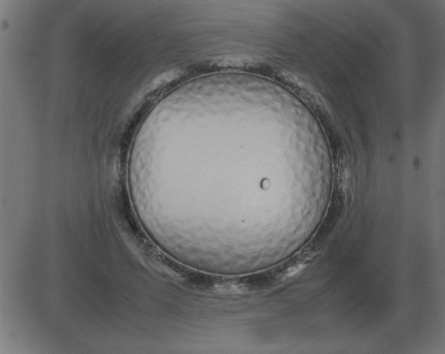 X0000081350591200702020116