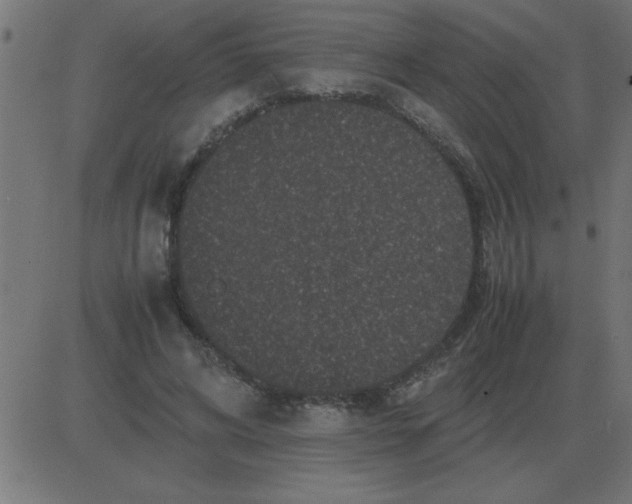 X0000081350592200702020116