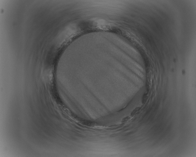 X0000081350595200702020116