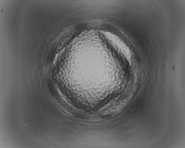 X0000081350601200702020116