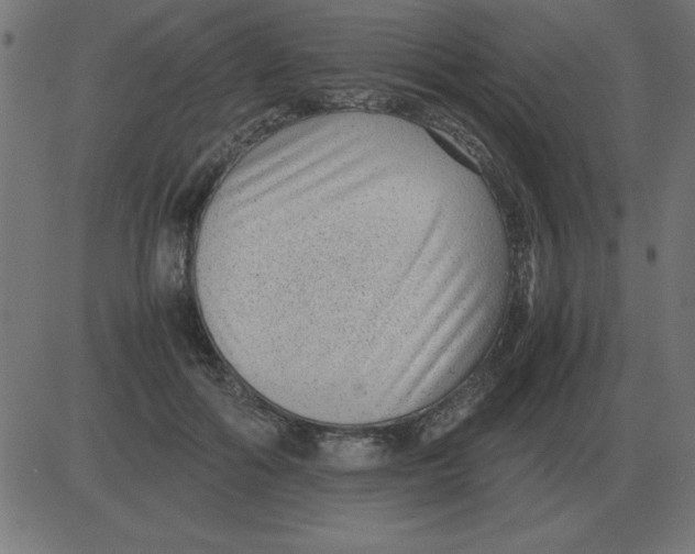 X0000081350602200702020116