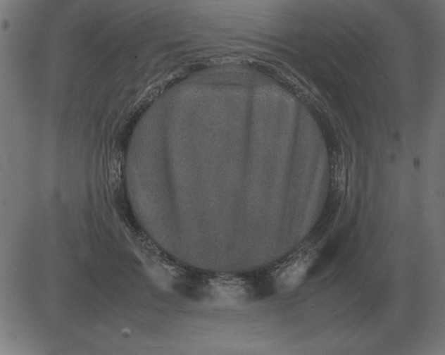 X0000081350603200702020116