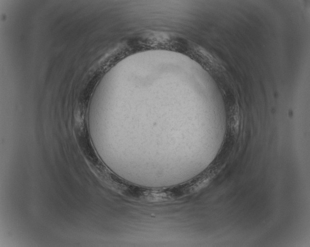 X0000081350607200702020116