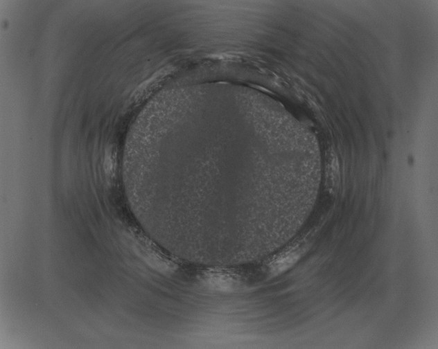 X0000081350608200702020116