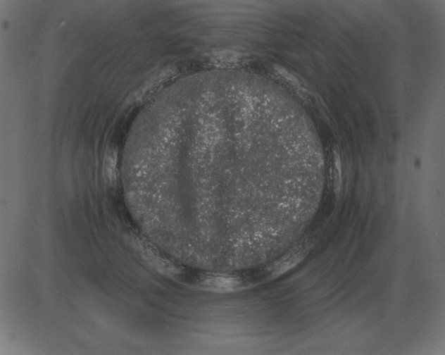 X0000081350610200702020116